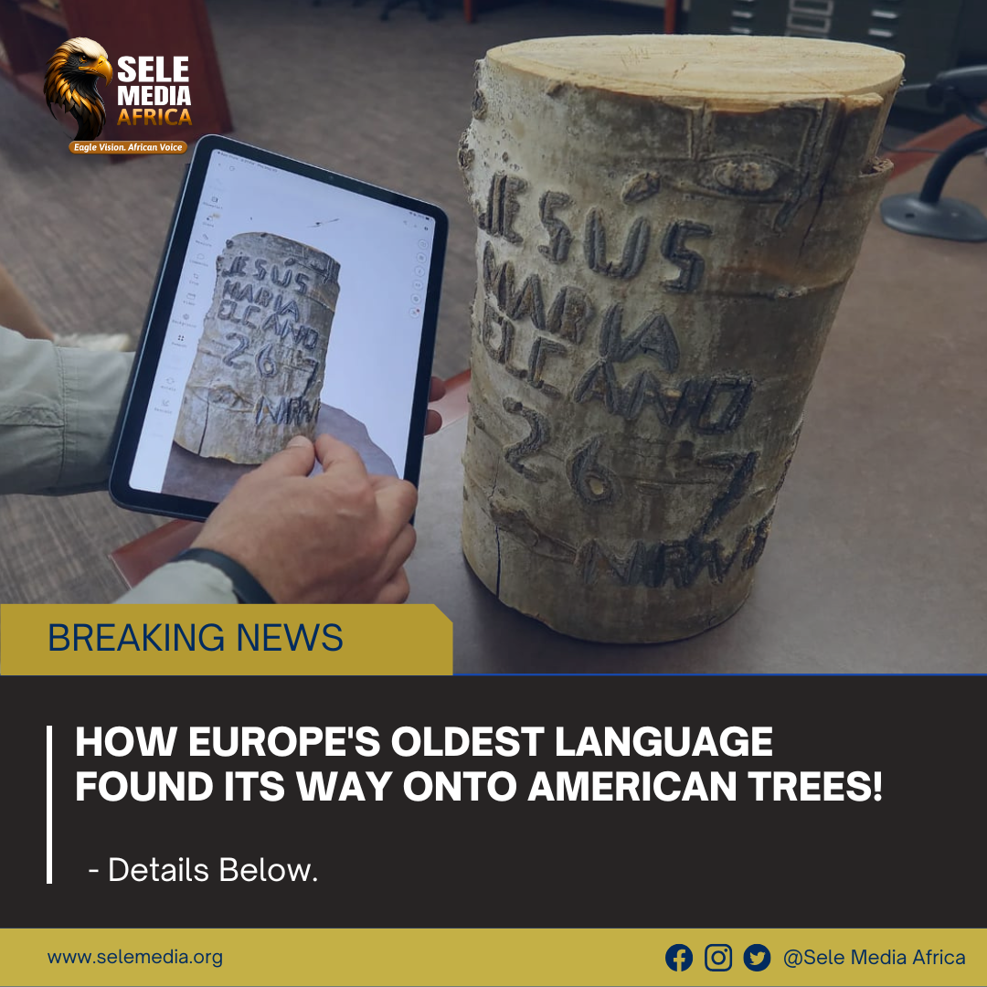 How Europe’s Oldest Language Found Its Way onto American Trees!