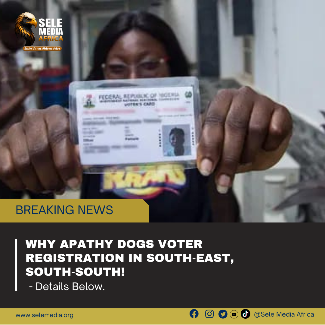 Why Apathy Dogs Voter Registration in South‑East, South‑South!