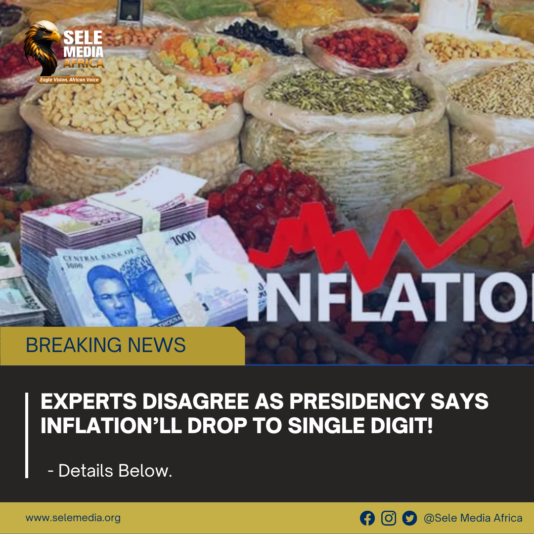 Experts Disagree as Presidency Says Inflation’ll Drop to Single Digit!