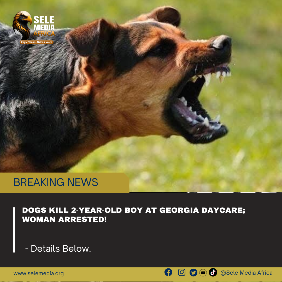 Dogs Kill 2‑Year‑Old Boy at Georgia Daycare; Woman Arrested!