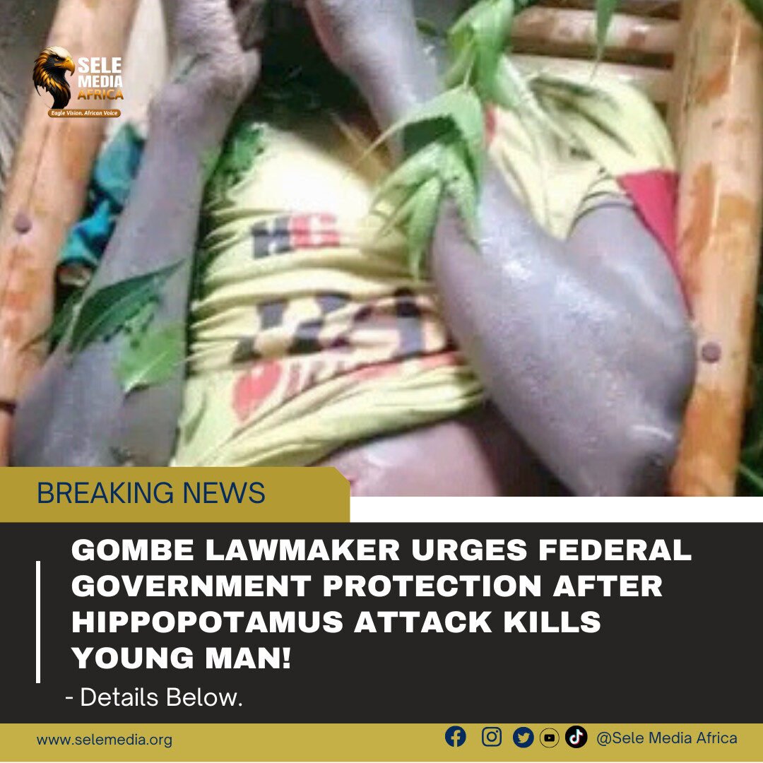 Gombe Lawmaker Urges Federal Government Protection After Hippopotamus Attack Kills Young Man!
