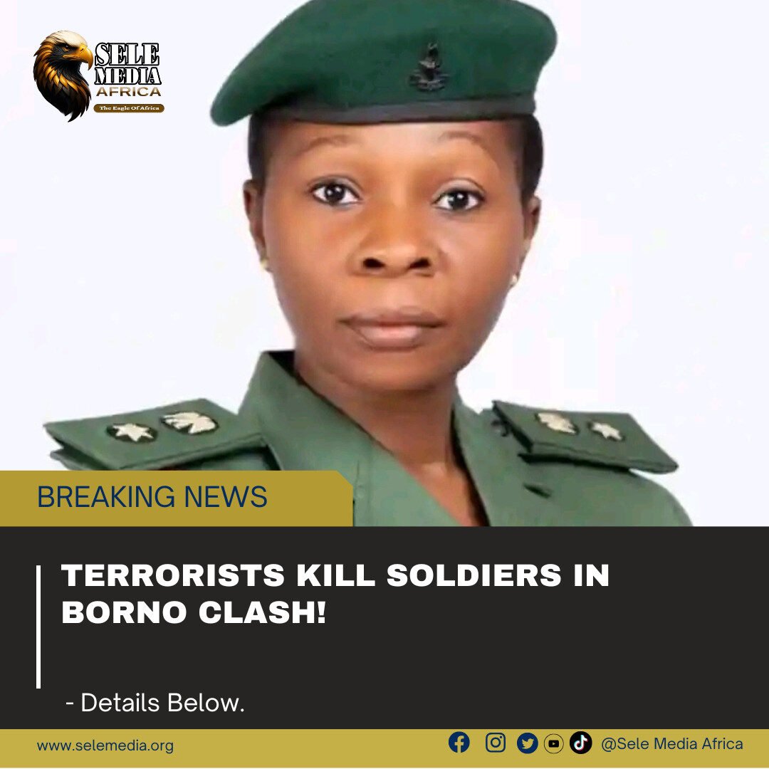 Terrorists Kill Soldiers in Borno Clash!