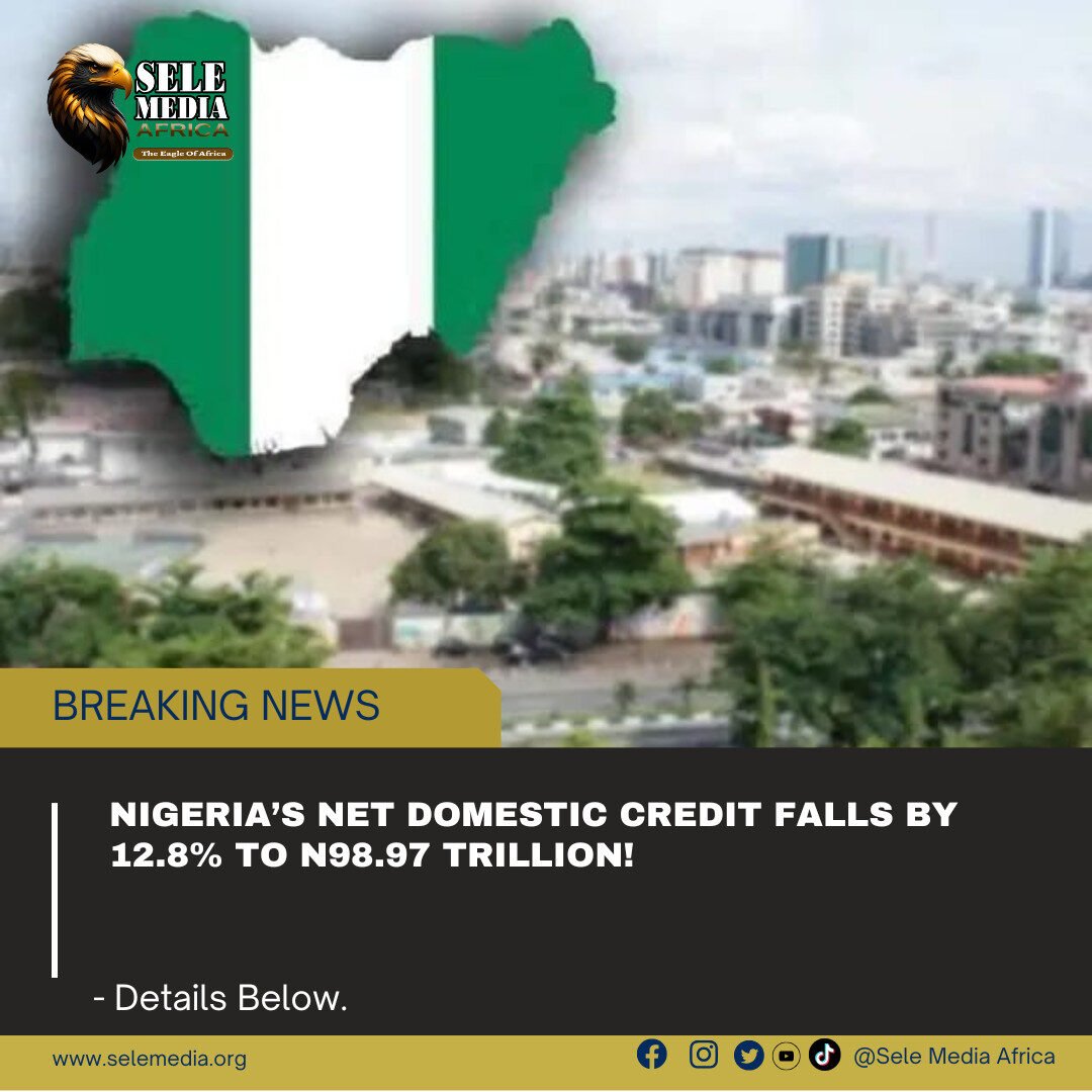 Nigeria’s Net Domestic Credit Falls by 12.8% to N98.97 Trillion!
