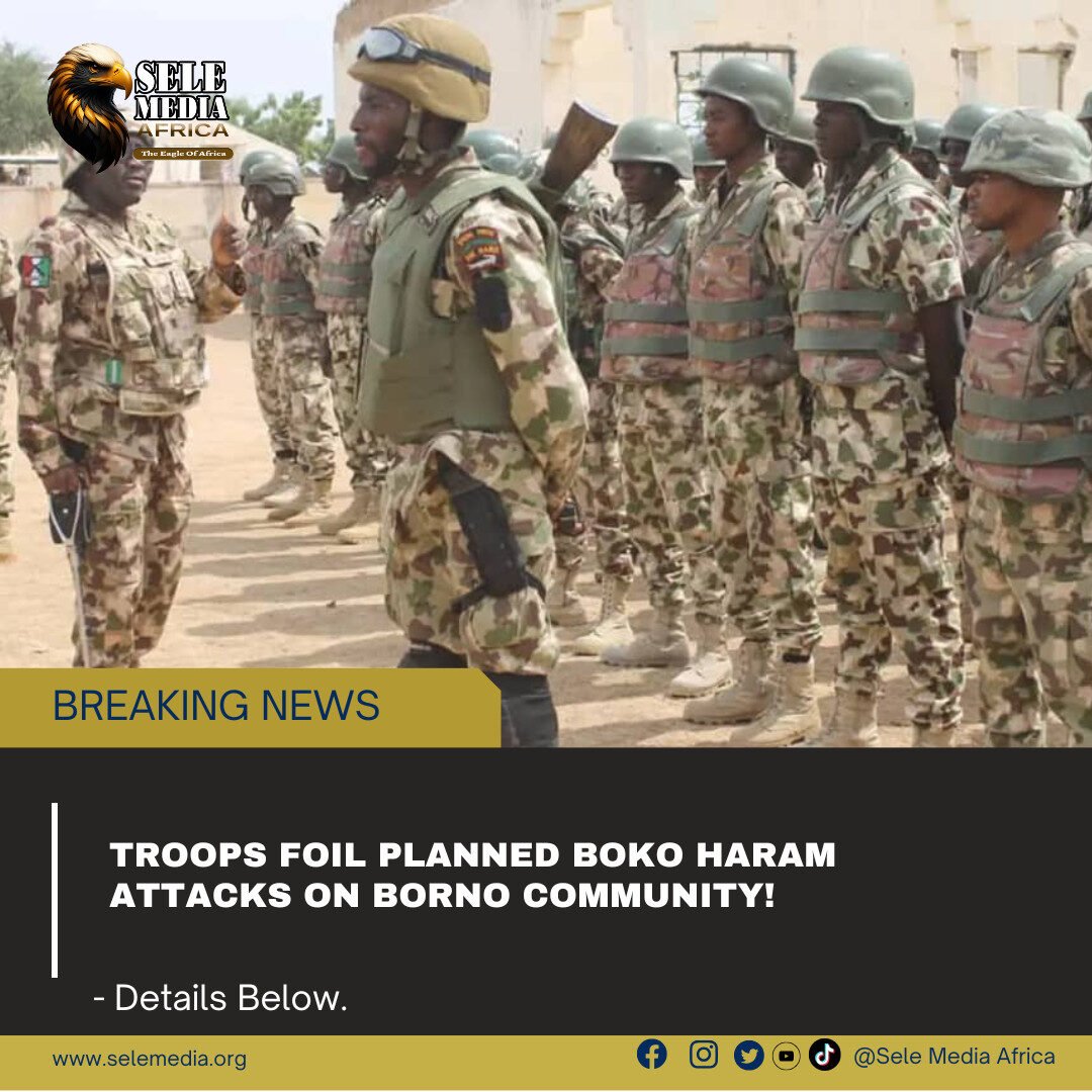 Troops Foil Planned Boko Haram Attacks on Borno Community!