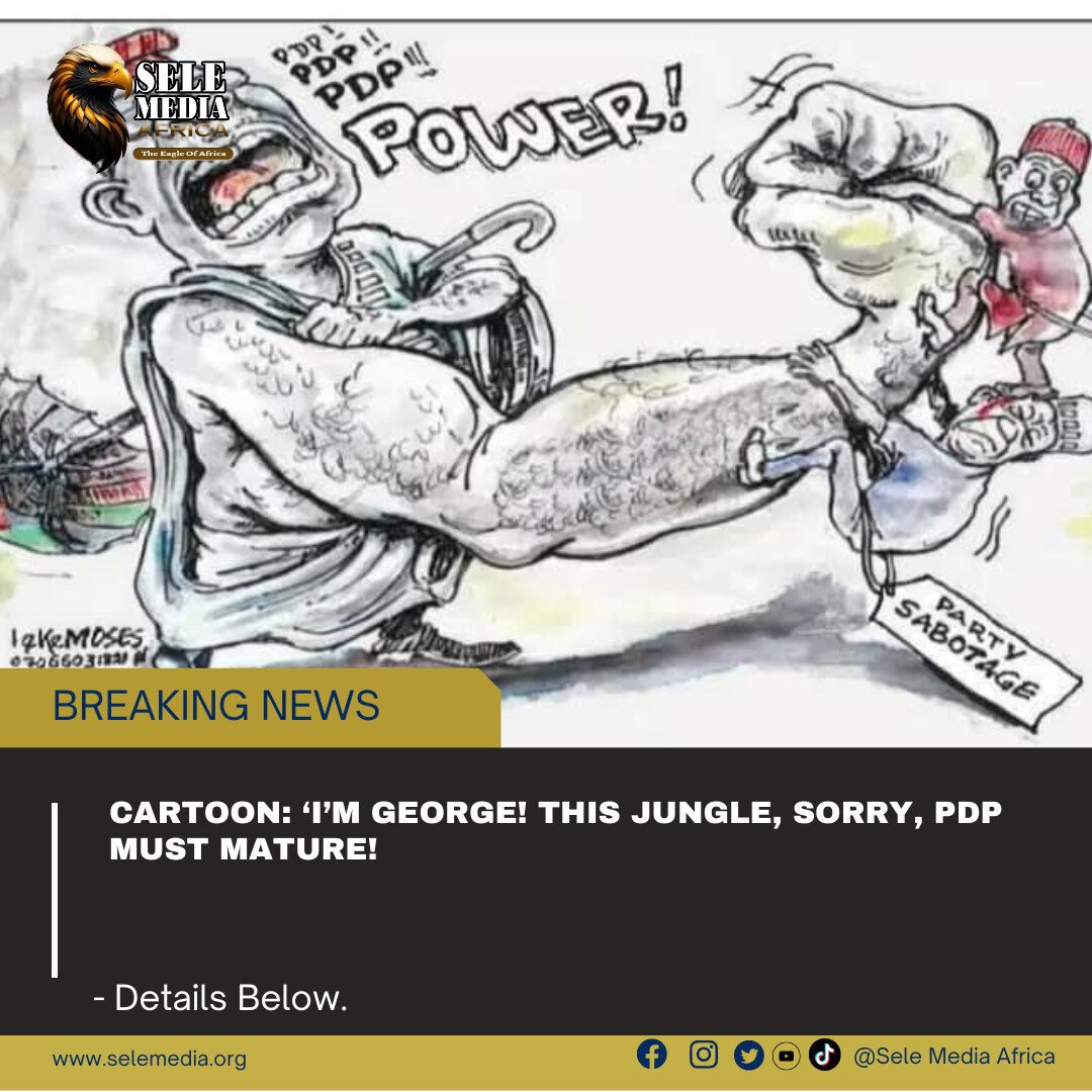 Cartoon: ‘I’m George! This Jungle, Sorry, PDP Must Mature’!